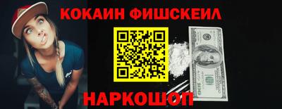 СК Кингисепп