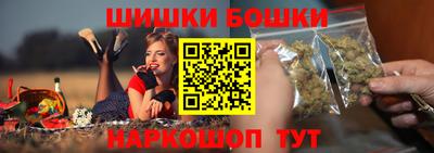СК Кингисепп