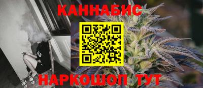 СК Кингисепп
