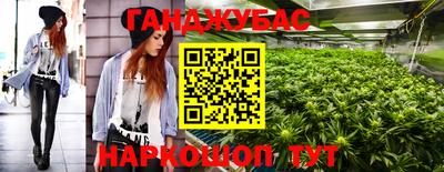 СК Кингисепп