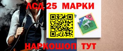 СК Кингисепп
