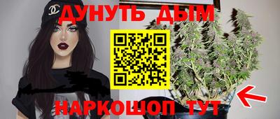 СК Кингисепп