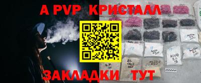 СК Кингисепп