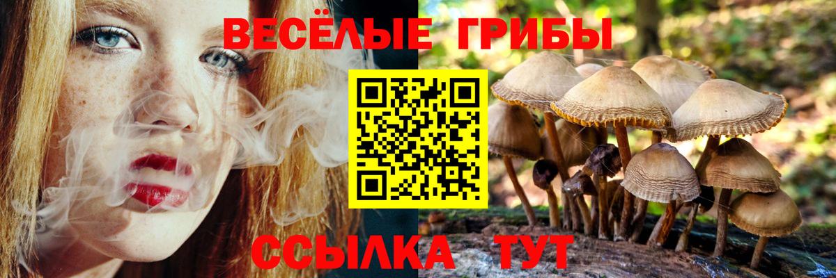 Псилоцибиновые грибы мицелий  Галлюциногенные грибы GOLDEN TEACHER  Кувандык  Вход с VPN 